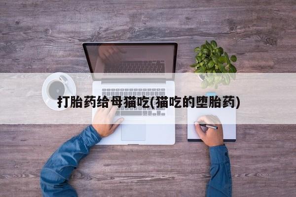 怀孕三个月用打胎药购买微信打胎药给母猫吃(猫吃的堕胎药)
