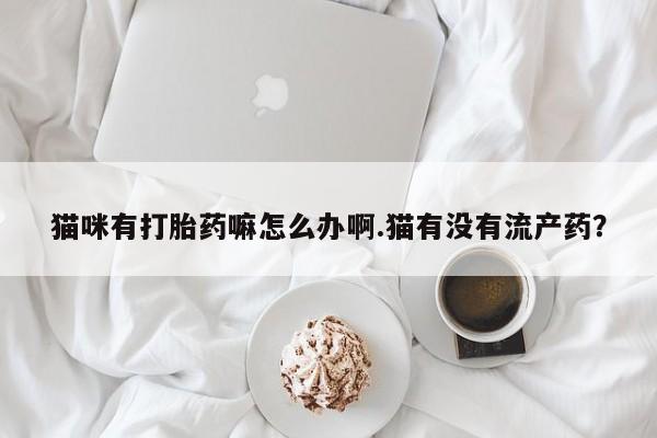 怀孕三个月用打胎药购买微信猫咪有打胎药嘛怎么办啊.猫有没有流产药？
