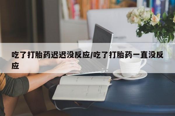 怀孕三个月用打胎药购买微信吃了打胎药迟迟没反应/吃了打胎药一直没反应
