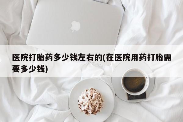 怀孕三个月用打胎药购买微信医院打胎药多少钱左右的(在医院用药打胎需要多少钱)