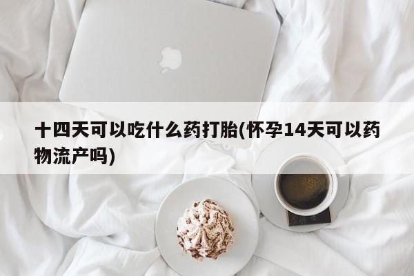 怀孕三个月用打胎药购买微信十四天可以吃什么药打胎(怀孕14天可以药物流产吗)